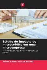Estudo do impacto do microcredito em uma microempresa