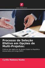 Processo de Selecao Efetivo em Opcoes de Multi-Projetos