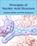 Principles of Nucleic Acid Structure