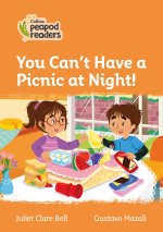 Level 4 - You Can't Have a Picnic at Night!