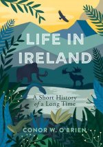 Life in Ireland
