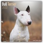 Bull Terrier 2022 Wall Calendar