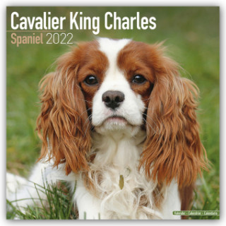 Cavalier King Charles Spaniel 2022 Wall Calendar