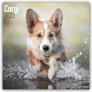 Corgi 2022 Wall Calendar