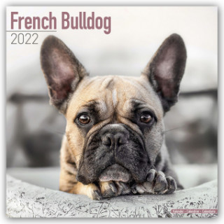 French Bulldog 2022 Wall Calendar