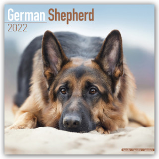 German Shepherd 2022 Wall Calendar