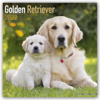 Golden Retriever 2022 Wall Calendar