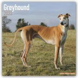 Greyhound 2022 Wall Calendar