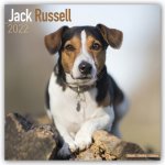 Jack Russell 2022 Wall Calendar