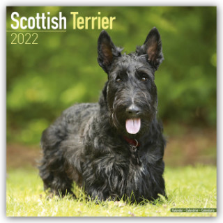 Scottish Terrier 2022 Wall Calendar