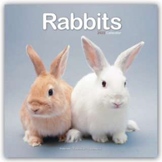 Rabbits 2022 Wall Calendar