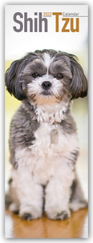 Shih Tzu 2022 Slim Calendar