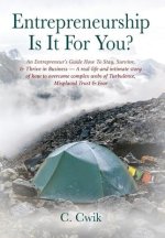 Entrepreneurship Is It For You? An Entrepreneur's Guide How To Stay, Survive, & Thrive in Business -- A real-life and intimate story of how to overcom