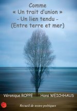 Comme un trait d'union