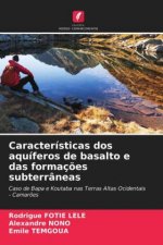 Caracteristicas dos aquiferos de basalto e das formacoes subterraneas