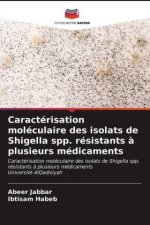 Caracterisation moleculaire des isolats de Shigella spp. resistants a plusieurs medicaments