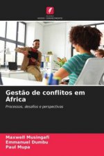Gestao de conflitos em Africa