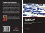 Pielęgniarstwo okrężnicowe