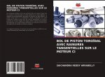 Bol de Piston Toroidal Avec Rainures Tangentielles Sur Le Moteur CI