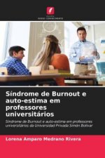 Sindrome de Burnout e auto-estima em professores universitarios