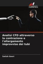 Analisi CFD attraverso la contrazione e l'allargamento improvviso dei tubi