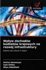 Wplyw dochodow budżetow krajowych na rozwoj infrastruktury