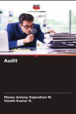 Audit