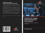Crimini nel campo dell'informazione informatica