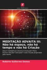 Meditacao Advaita III