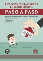EJECUCIONES Y EMBARGOS EN EL ORDEN CIVIL. PASO A PASO.