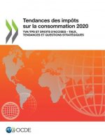 Tendances Des Impots Sur La Consommation 2020 Tva/Tps Et Droits d'Accises - Taux, Tendances Et Questions Strategiques