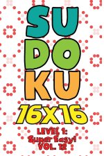 Sudoku 16 x 16 Level 1