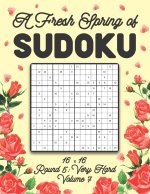 Fresh Spring of Sudoku 16 x 16 Round 5
