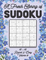Fresh Spring of Sudoku 16 x 16 Round 2
