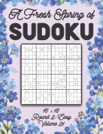 Fresh Spring of Sudoku 16 x 16 Round 2