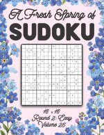 Fresh Spring of Sudoku 16 x 16 Round 2