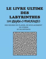 Le livre ultime des labyrinthes