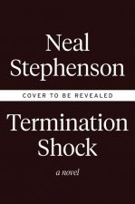 Termination Shock