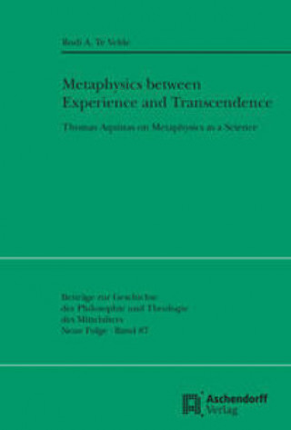 Metaphysics between Experience and Transcendence