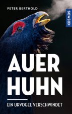 Auerhuhn