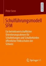 Schulfuhrungsmodell Sfm