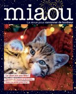 Miaou 17