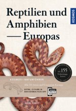 Reptilien und Amphibien Europas