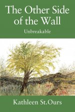 Other Side of the Wall