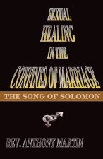 Sexual Healing In The Confines of Marriage