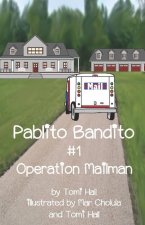Pablito Bandito #1 Operation Mailman