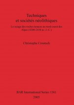 Techniques et societes neolithiques