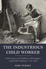 Industrious Child Worker
