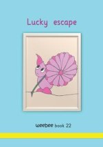 Lucky escape