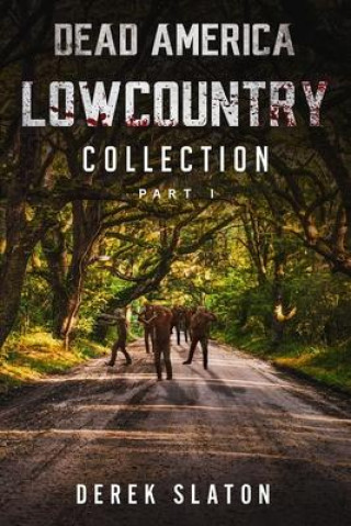 Dead America Lowcountry Collection Part 1 - Books 1 - 6